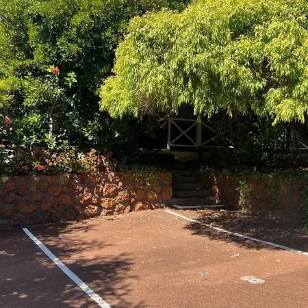 Karri Forest Motel Pemberton Exterior photo