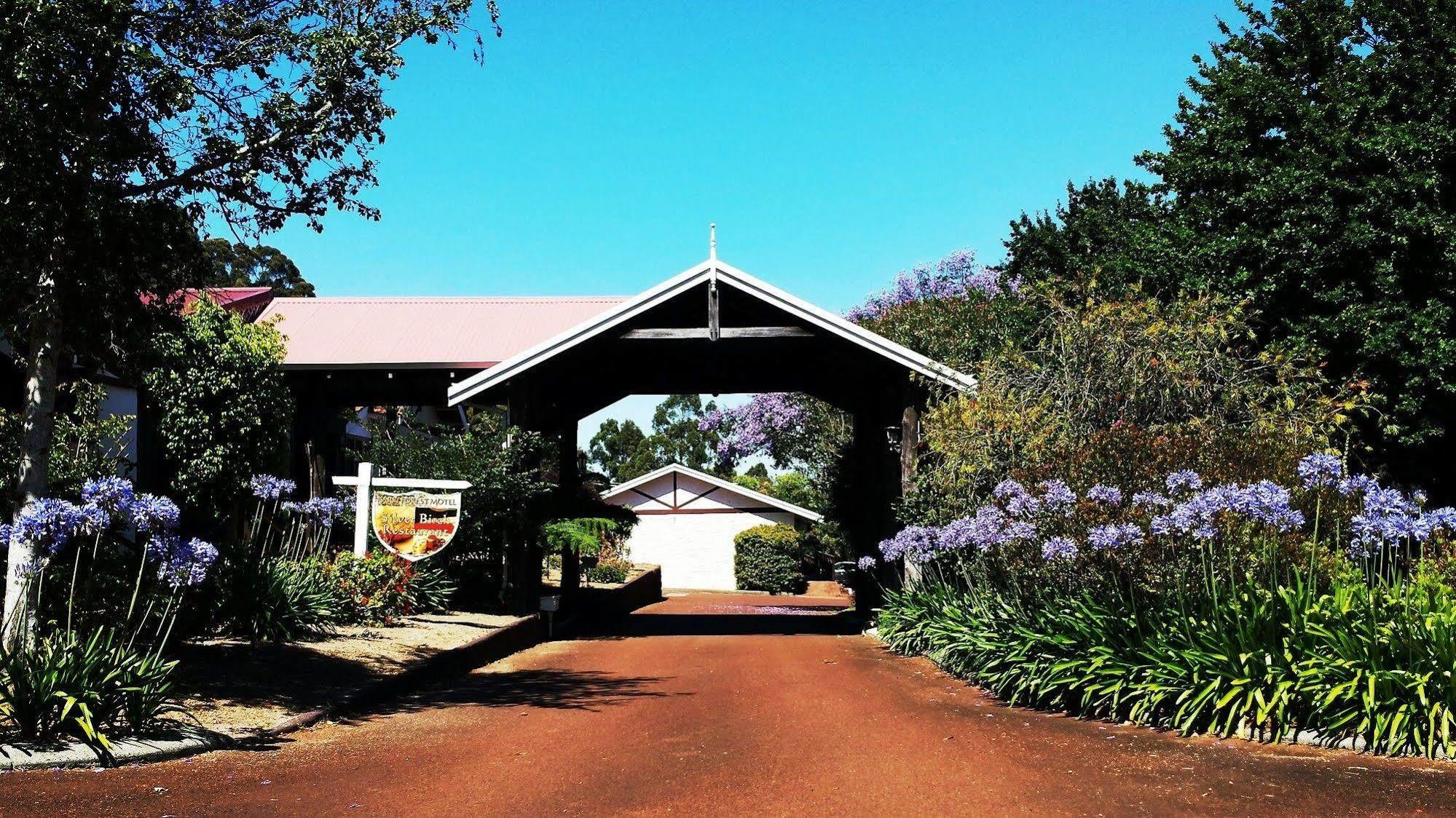 Karri Forest